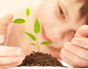 The boy observes cultivation of a young plant.